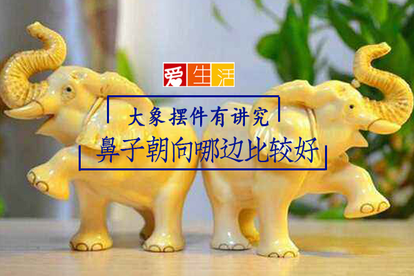 大象摆件有讲究鼻子朝向哪边比较好 新生活报 Ilifepost爱生活 大象摆件有讲究鼻子朝向哪边比较好 新生活报 Ilifepost爱生活