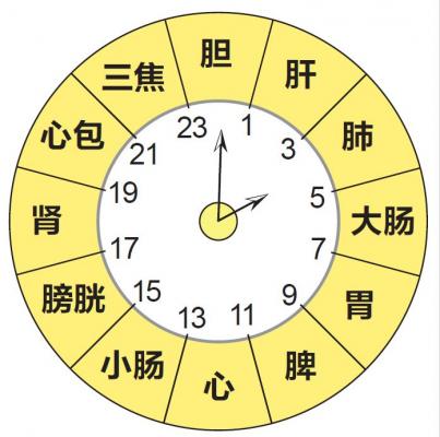 中西医提供养生时段