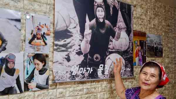 朴石熙和高良珍的餐厅墙上挂满了海女的相片、顾客的感谢卡,还有韩国总统的来信。