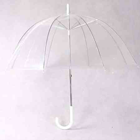 透明塑胶伞布本来就不易分解，成本低廉更使其容易被丢弃。