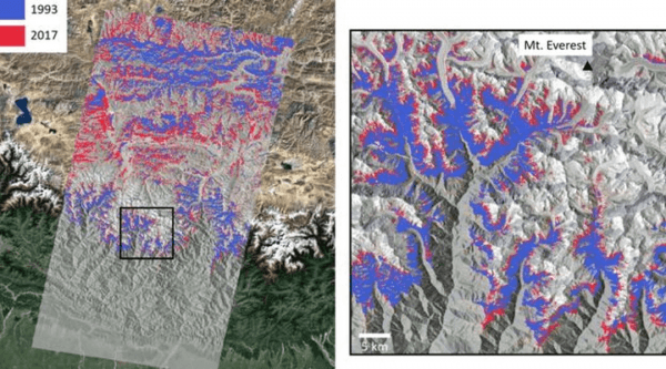 卫星图像显示，珠穆朗玛峰周边地区的植被覆盖变化，1993年（蓝色） 和2017年（红色）的植被面积差别显著。