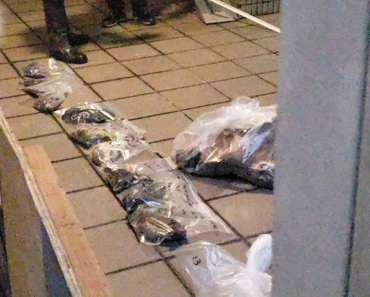 多具动物尸体被爱协人员用透明袋包裹。