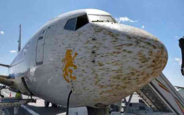 塞俄比亚有飞机撞上大群蝗虫。