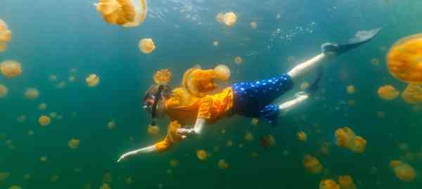 到印尼圣加拉奇潜水，还会看到很多珊瑚和热带鱼群。