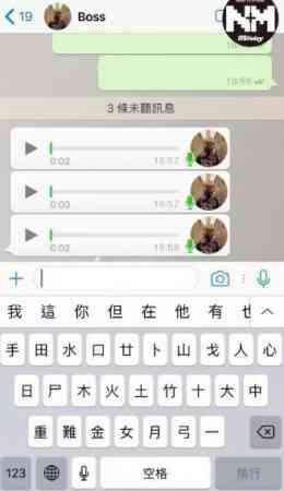 首次使用这功能要先启用Spiko for WhatsApp，首先在whatsapp的右下角选择分享，按“更多”，把《Spiko for WhatsApp》加入到捷径。之后就可以使用了！