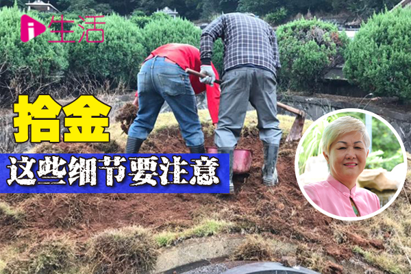 阴宅风水2：老山拾金