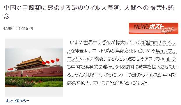 日媒周刊邮报以「中国感染甲壳类的神祕病毒蔓延,忧心对人类造成伤害」为题报导。