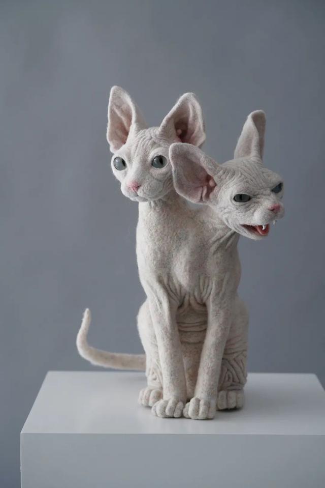 《猫的蜕变》是一种针扎、锋利的状态，也是想让自己更坚强一点。