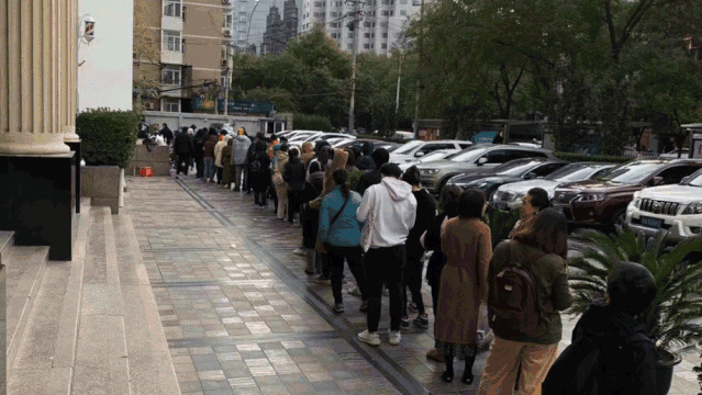 2019年展览现场