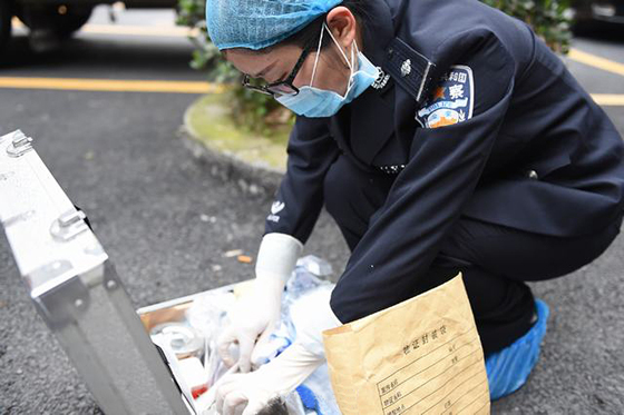 王小琴正在案发现场搜集生物检材。