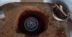 种生基既是“开运保险”，不但能催旺个人运势，百年归老后还能撤回，原地安葬造福后代子孙。