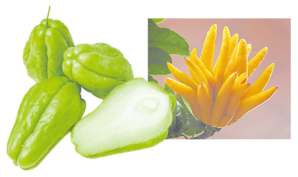 佛手和佛手瓜虽然只有一字之差，但是它们之间属于不同性质的东西，佛手是药材，而佛手瓜是蔬菜或者水果。