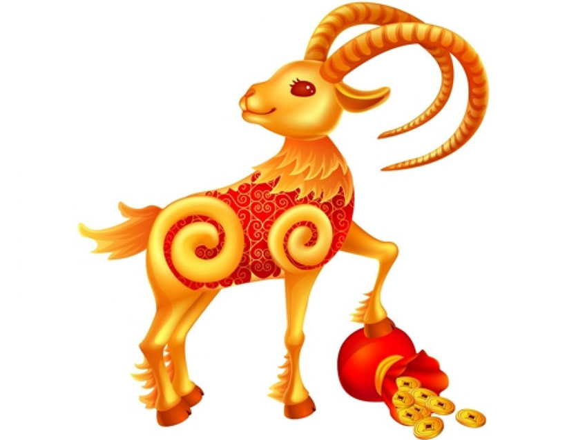 你家里有属羊的人吗?有你就不得了啦!恭喜!