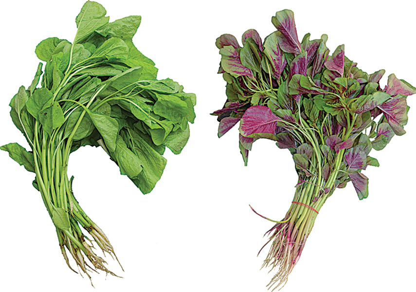 苋菜直接炒? 很多人不知道应该"多一步骤" 好吃又不苦 | 新生活报 - i