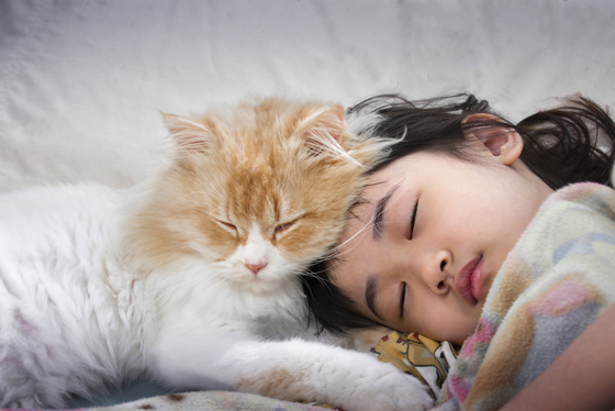 如果真的决定要和猫咪同睡，便一定要注意卫生问题，要定时为猫咪打疫苗、驱虫，这样做是对猫咪负责，也是作为主人对自己健康负责的行为。
