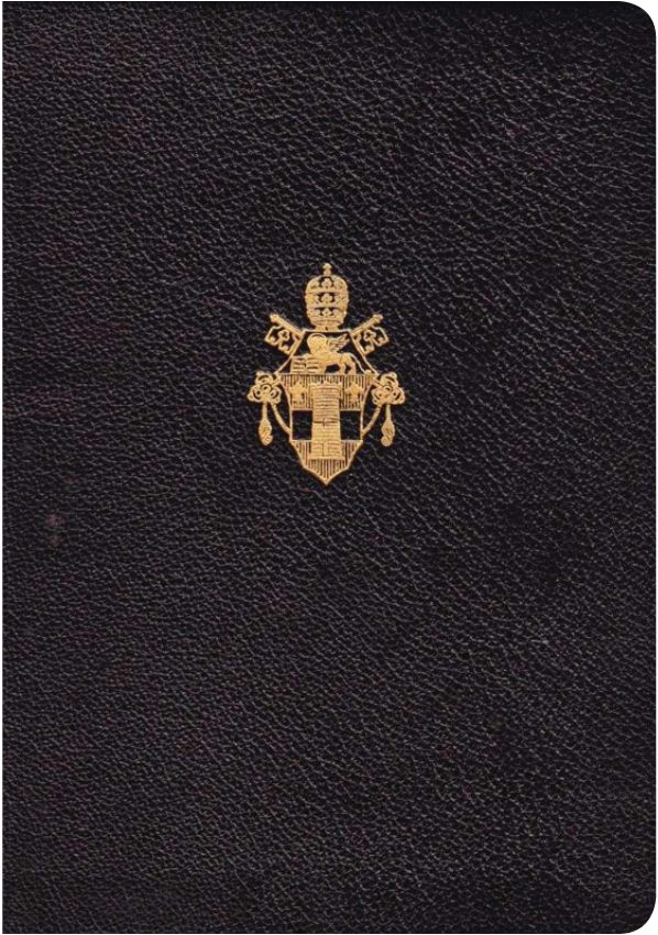 图为梵蒂冈发行的护照，通常由神职人员或代表教廷出访者持有。