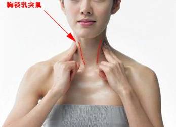 6park Com 伸展胸锁乳突肌是益脑良药 2招改善耳鸣 头痛 脑神经衰弱 记忆力减退 6park Com 伸展胸锁乳突肌是益脑良药 2招改善耳鸣 头痛 脑神经衰弱 记忆力减退