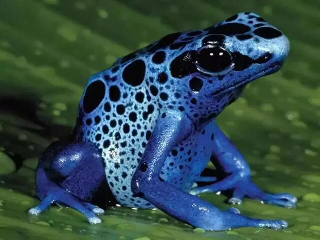 a8