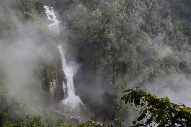 考艾国家公园位于曼谷的东北方,占地超过 2,000平方公里(相当于 28万座足球场的面积),非常受到观光客的观迎。此外,考艾国家公园也是泰国最老的国家公园,里头的瀑布、动物和美景令人心旷神怡。