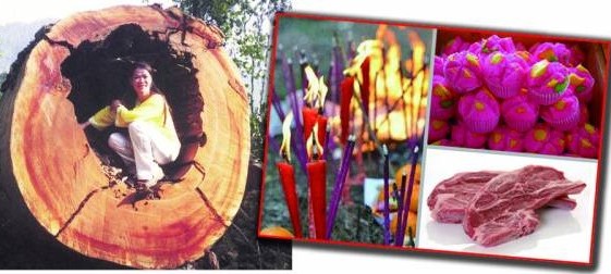 妙婵师太表示,拜山神的供品不能马虎,一定要带山神爱吃的羊肉,另外还有发糕、水果和香烛。
