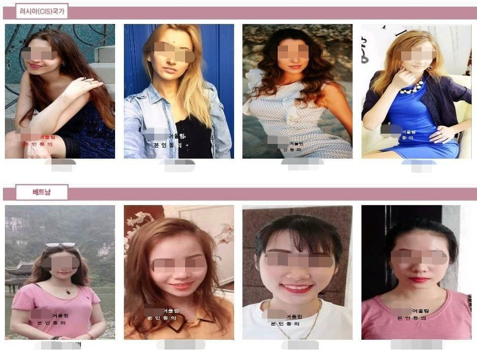 婚姻中介发布的越南新娘信息。