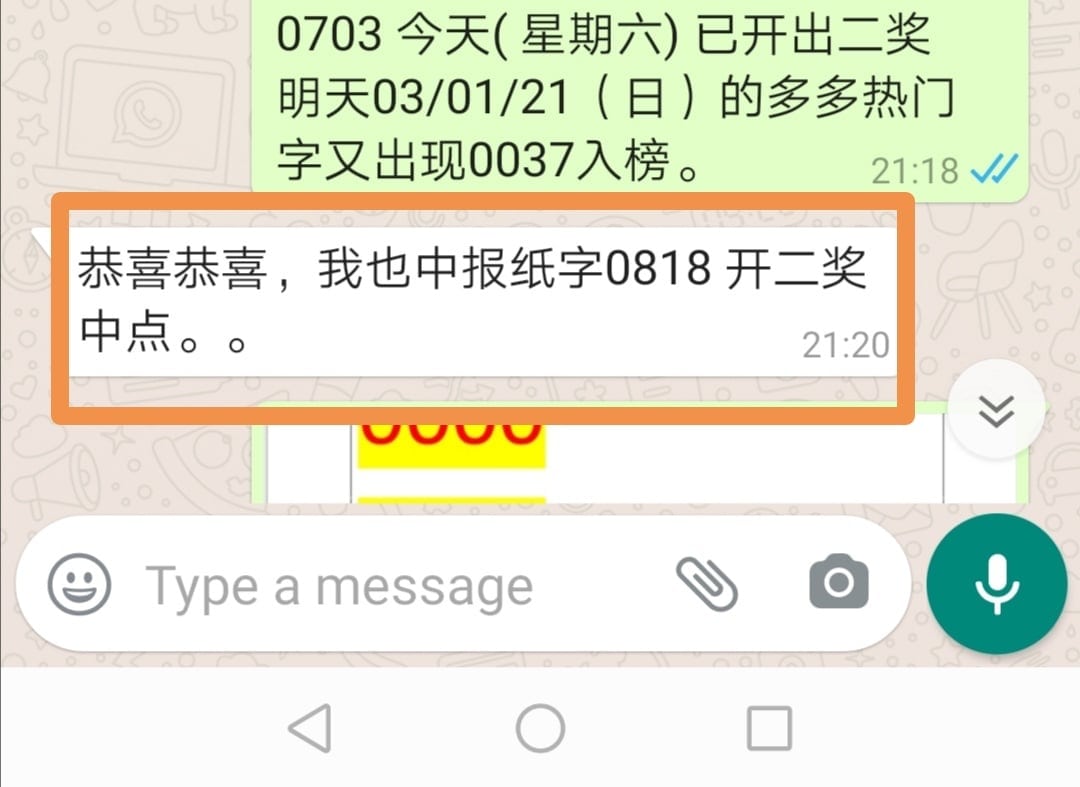 华人新年包开字大奖率惊人 新生活报 Ilifepost爱生活