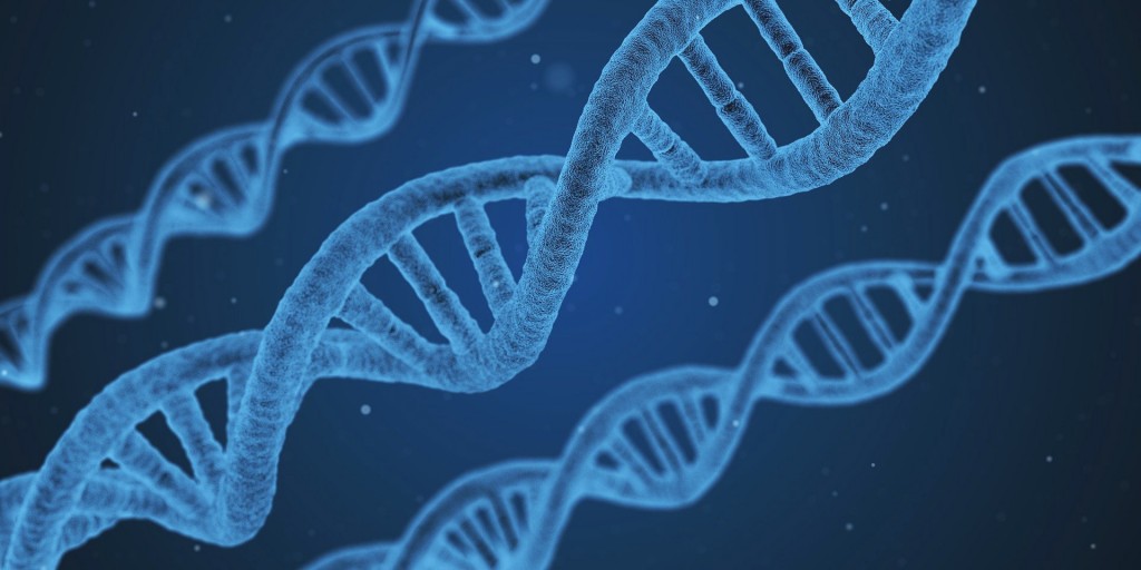 人体的DNA是可以跟磁场连结，是可以互通的。