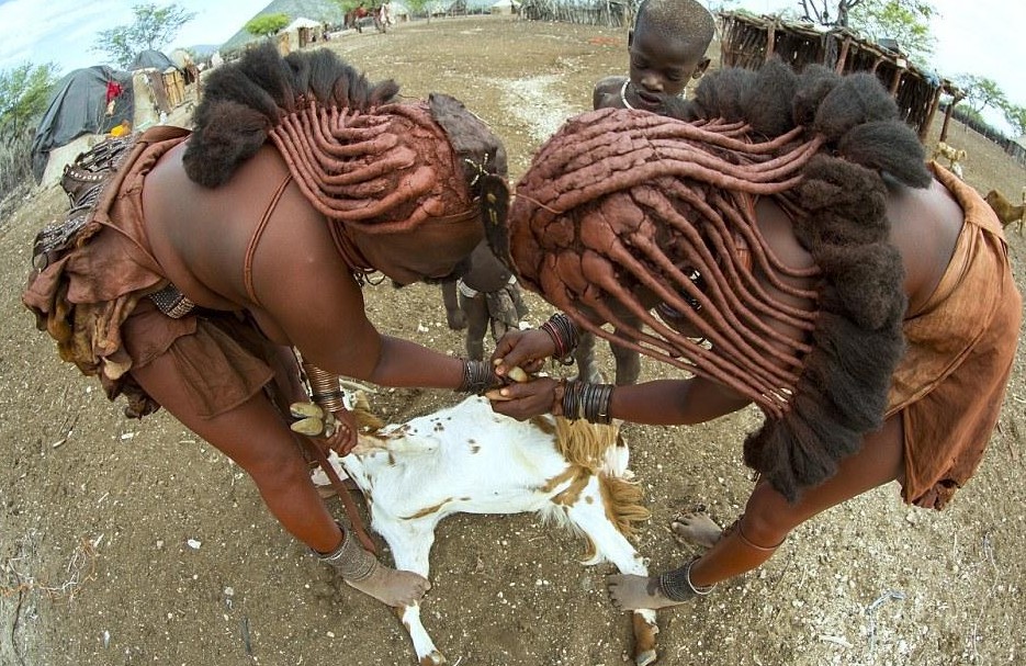 辛巴族女人的辫子由红泥、奶油以及羊毛编成。此外，女子的身上、衣服上也涂着厚厚的红泥与奶油。