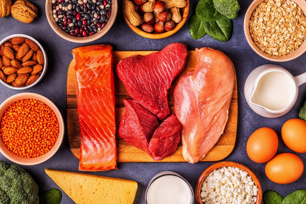 Sources of healthy protein - meat, fish, dairy products, nuts, legumes, and grains.