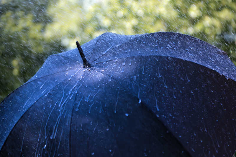 Rain on umbrella