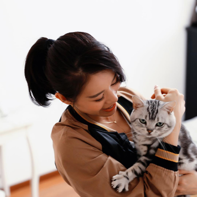 胡杏儿是一位猫奴,高峰期饲养8只猫咪。