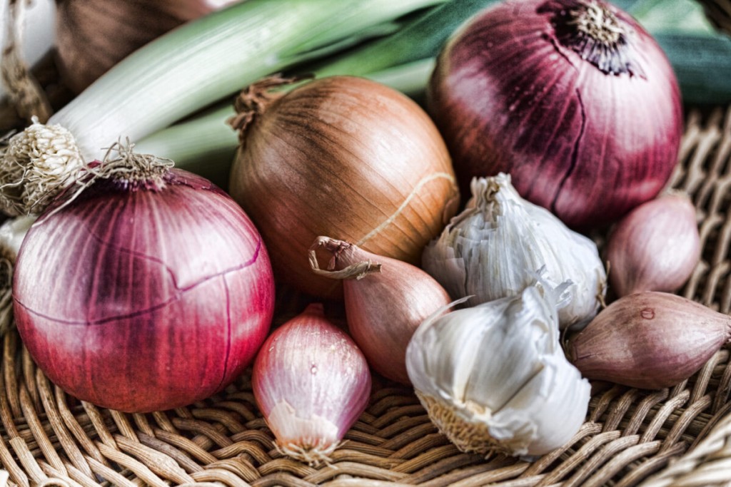 Onions, garlic and shallots still life
