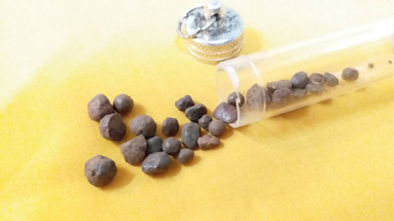 文师父捐赠善款给泰国庙宇,获得已经往生极乐世界得到高僧的血舍利。