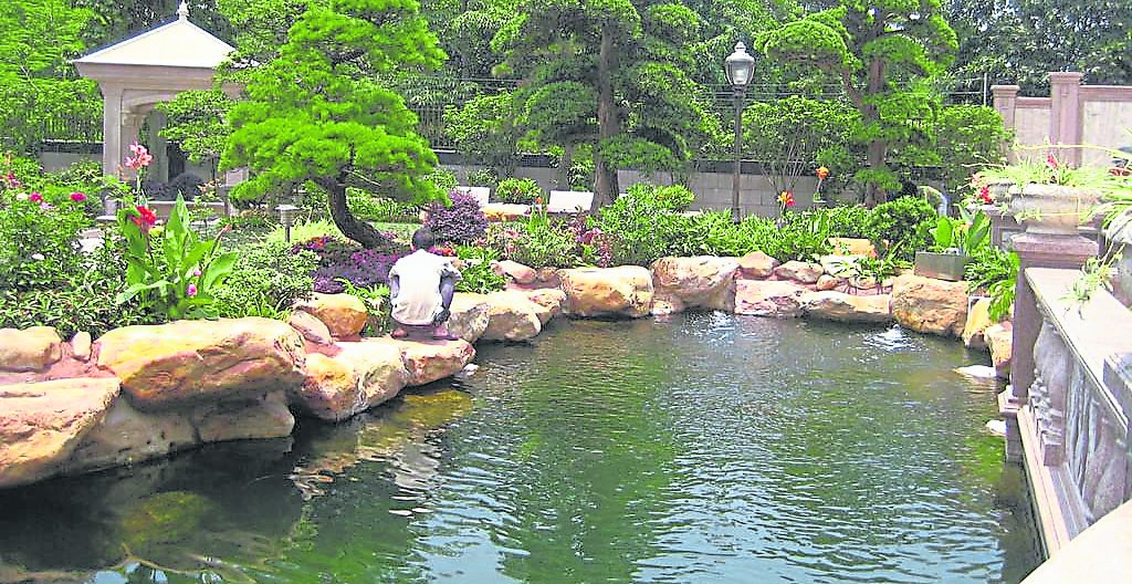 风水池的形状对住宅的吉凶有至关重要的影响,池塘在屋前或屋后,其距离形状影响着住宅的吉凶。
