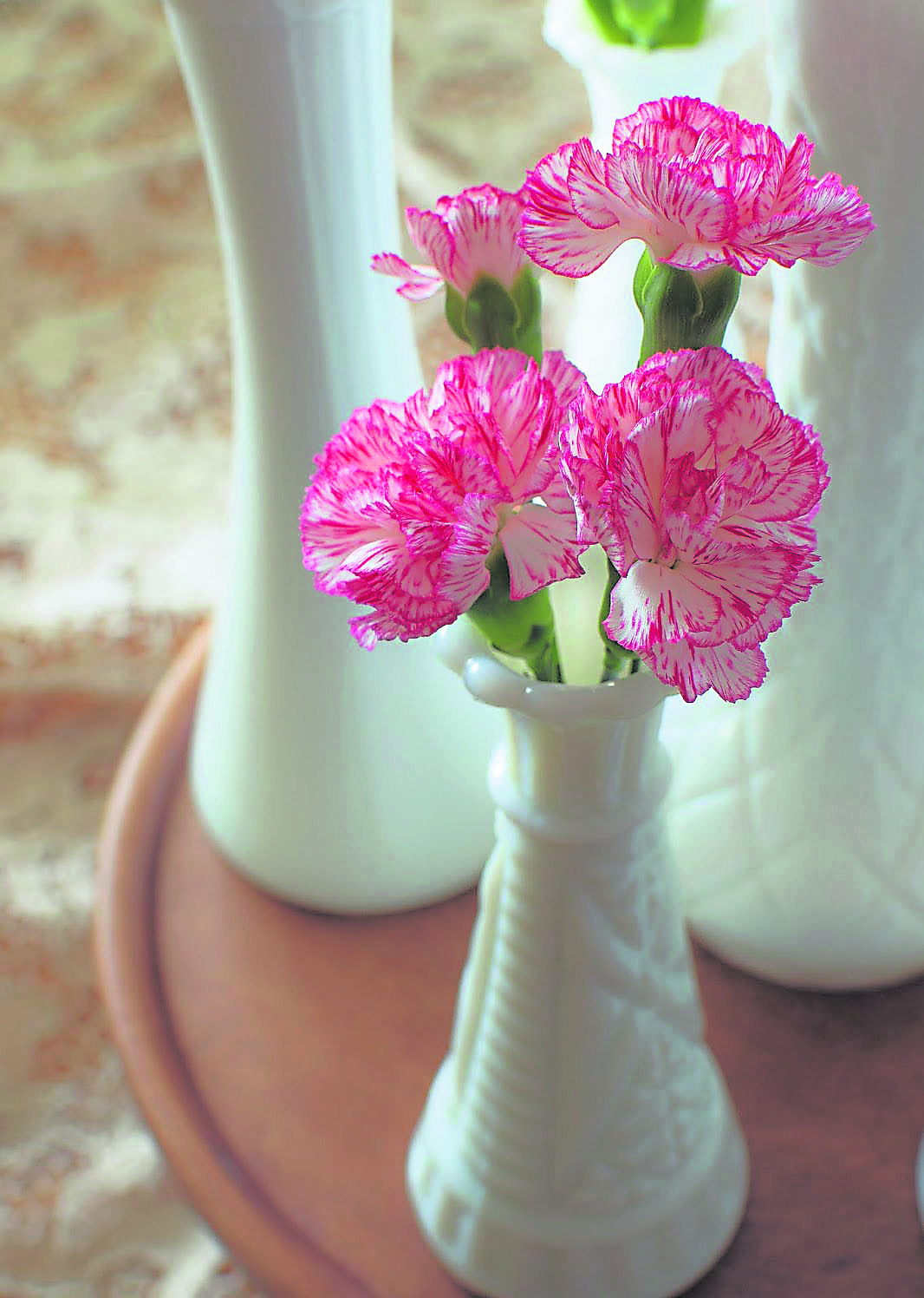 把康乃馨插在花瓶后摆放在饭厅，能让家里充盈温馨和谐的气氛，还有着财源广进的意义。