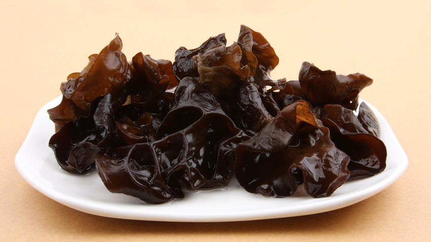 Black,Fungus,On,White,Background