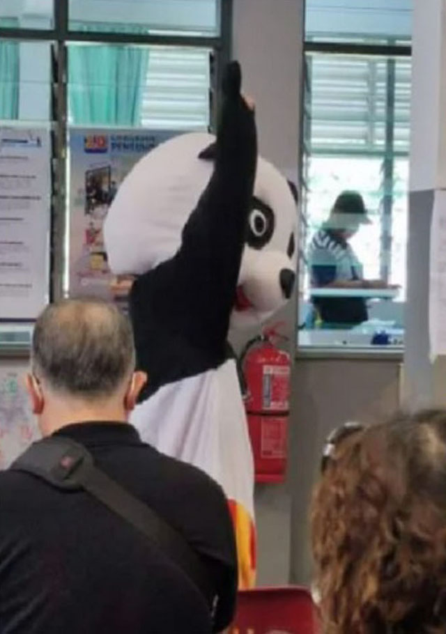 一名选民打扮成熊猫模样,前往投票站投票,奇特的装扮引起了其他选民围观。
