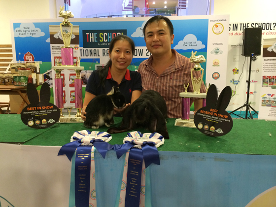 拥有多年培育兔子经验的马一江（右），是马来西亚第一位，也是唯一获得美国兔子繁殖员协会 (American Rabbit Breeders Association，简称ARBA) 认可的马来西亚评审。