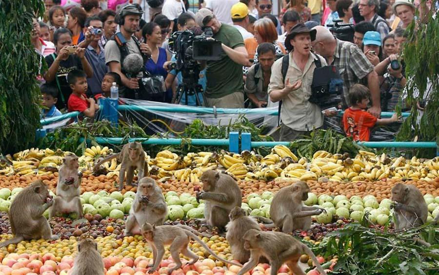 “猴子节”是华富里每年一度的传统，当地也因为猴子数量众多，而常被昵称为“猴城”。