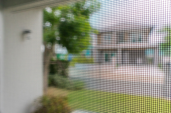 防蚊虫的纱窗封住导致家中的空气不流通，形成了“死气”。