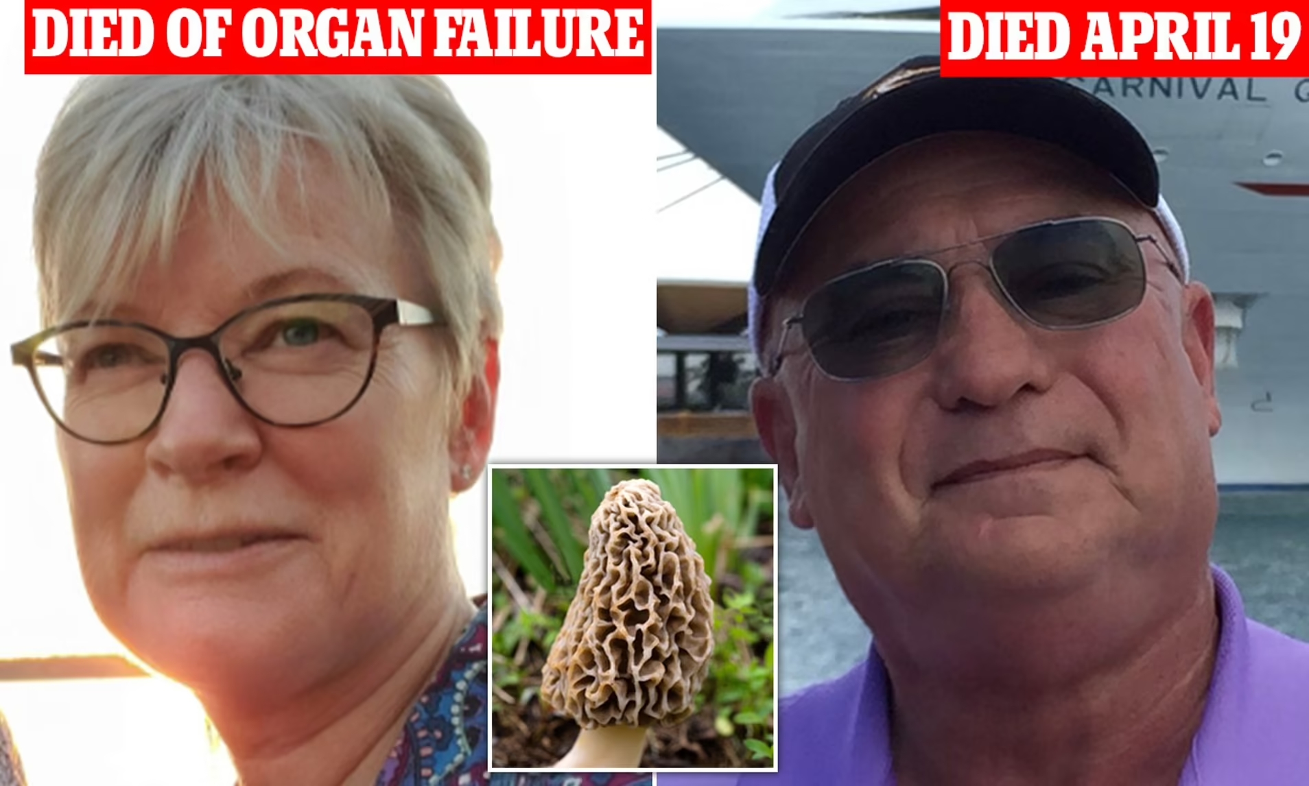 羊肚菌菇食物中毒事件,目前已造成2人死亡。