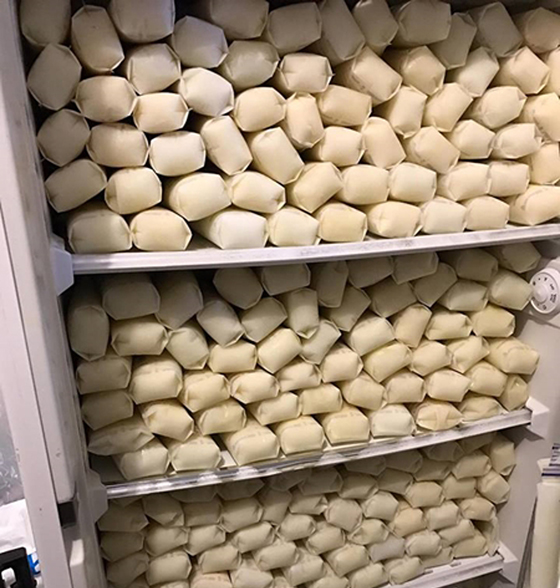 塞爆冰箱