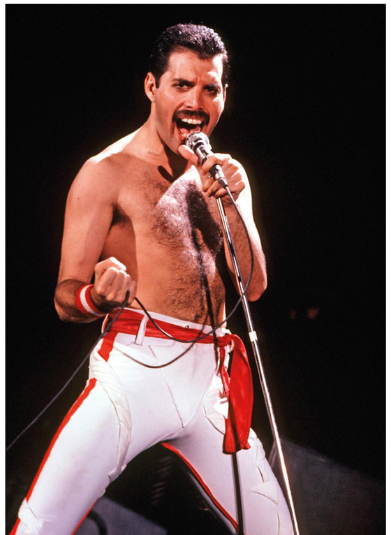 Queen主音Freddie Mercury。