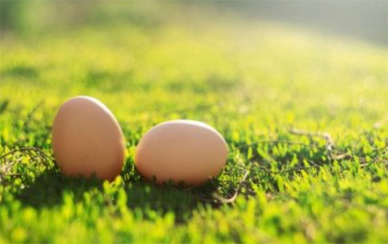 古人还认为，鸡蛋圆滑，象征着生活的美好与圆满，在“立夏”当天吃蛋能获得平安健康。