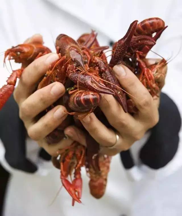 每年到了8月,超市开始贩卖各式各样关于小龙虾的产品,包括餐具、纸巾、装饰品,酒杯等。