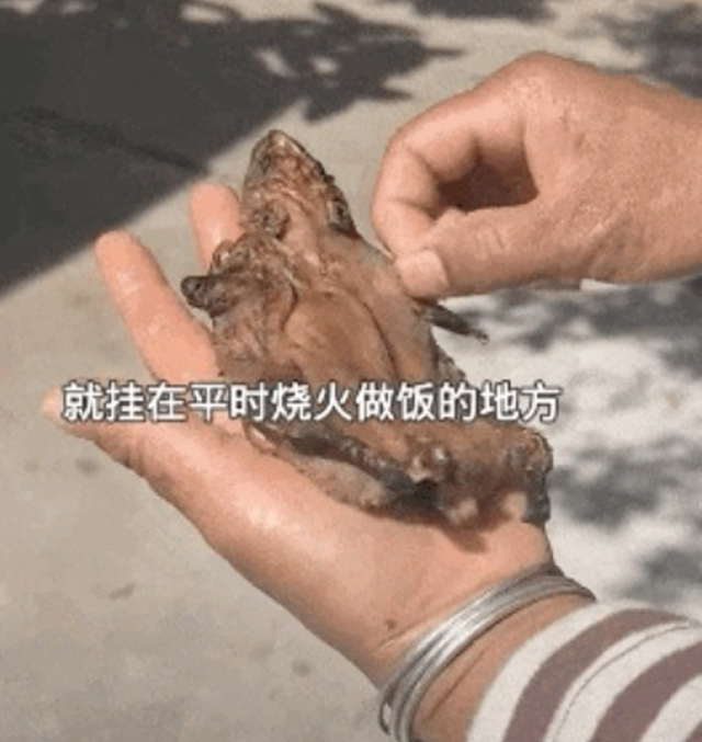 如果一次捕获的老鼠太多,一时吃不完,就将其挂在火塘上方的炕笆上任火烘干,作为老鼠干巴慢慢地食用。