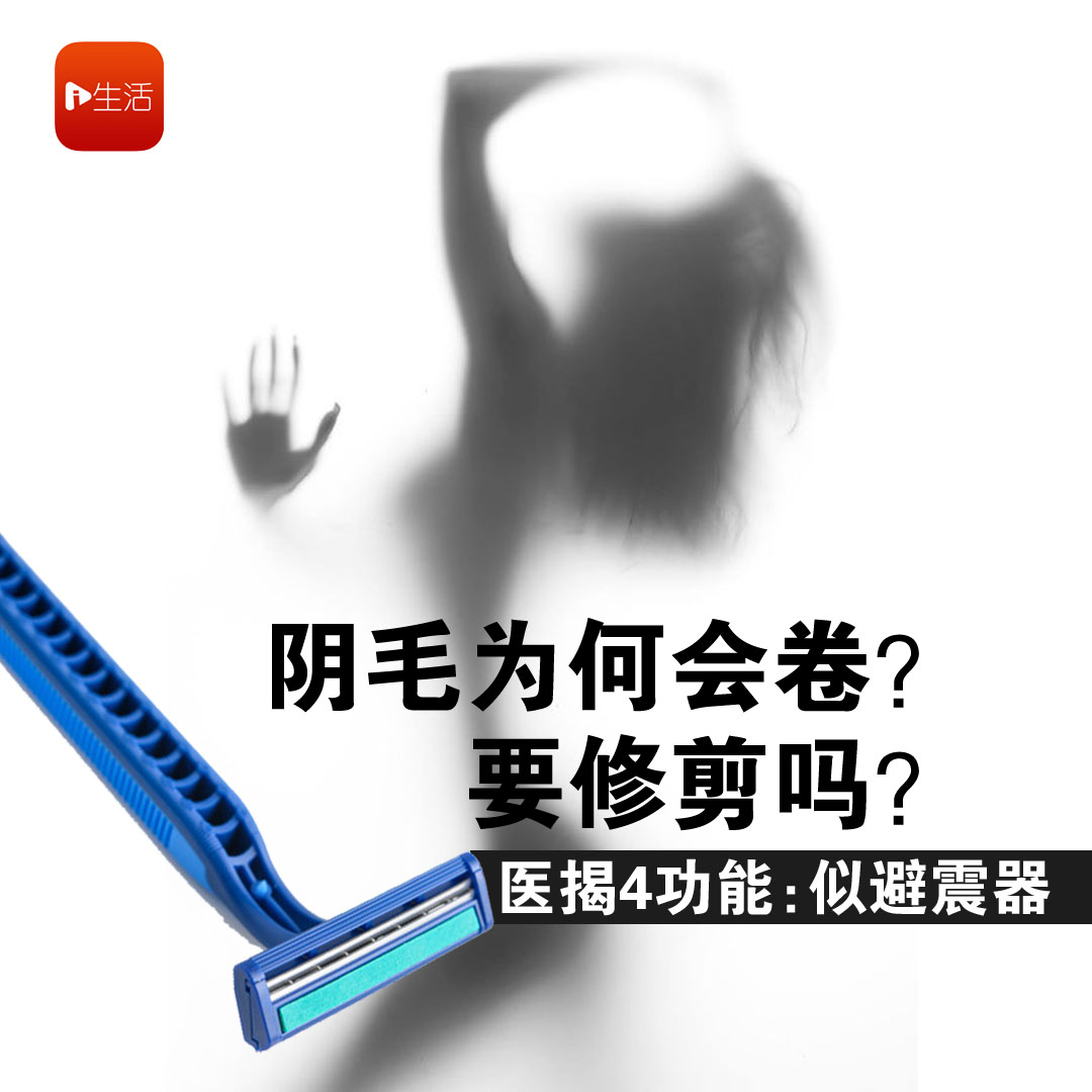阴毛 
