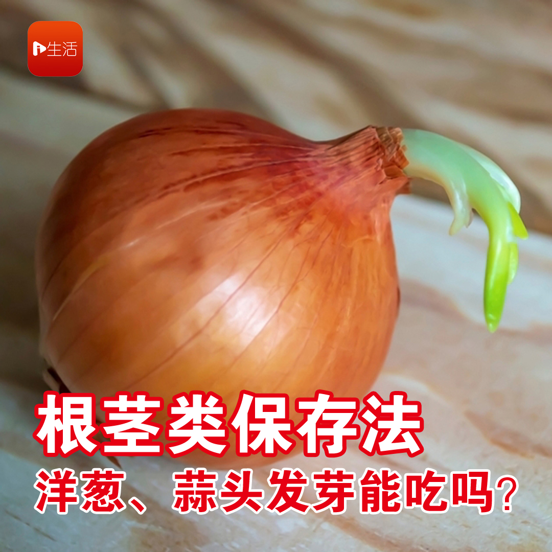根茎类保存法  洋葱、蒜头发芽能吃吗？