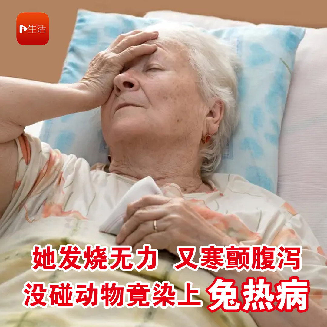 她发烧无力 又寒颤腹泻 没碰动物竟染上兔热病