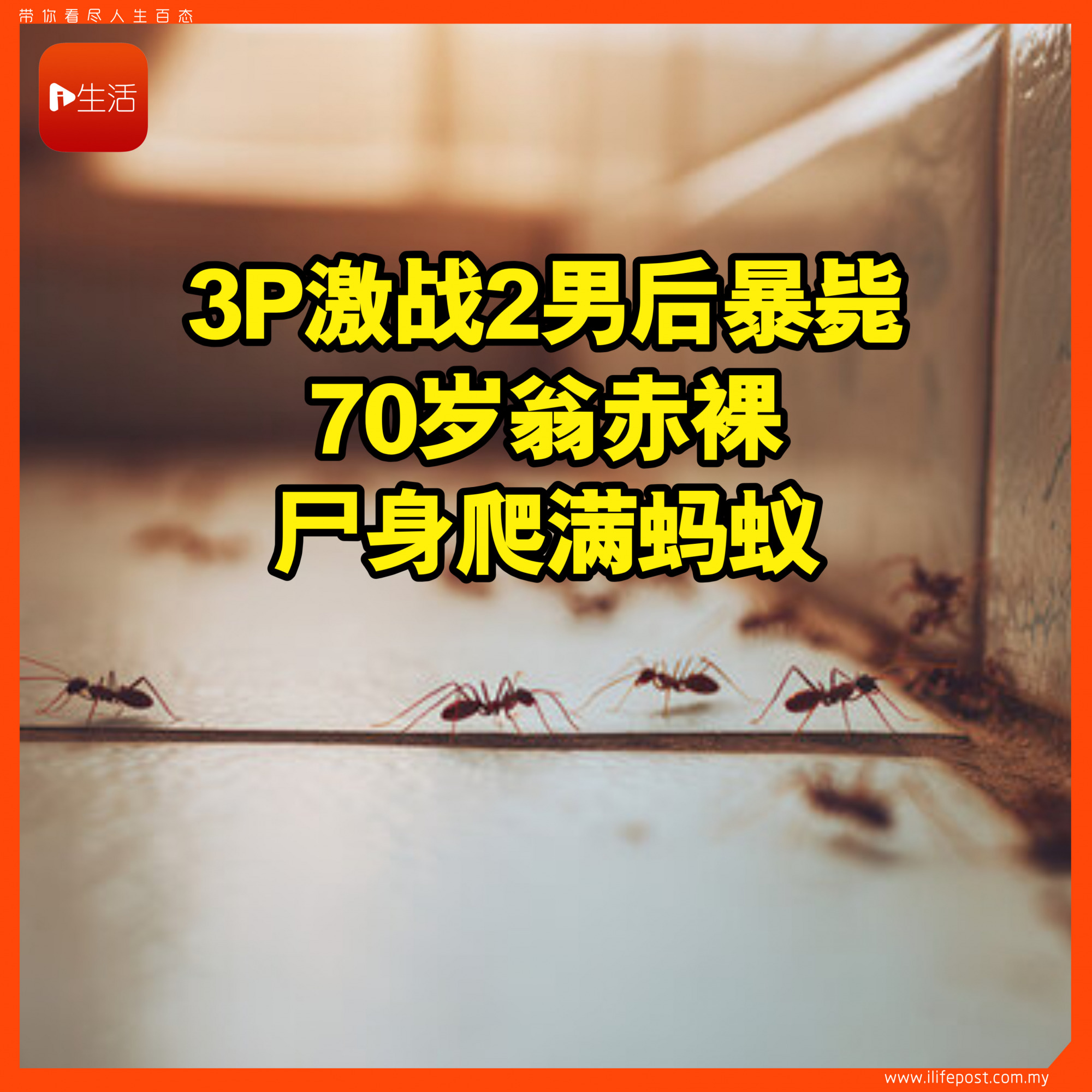 吸毒3P激战2男后暴毙 70岁翁赤裸尸身爬满蚂蚁 同行两人供词矛盾